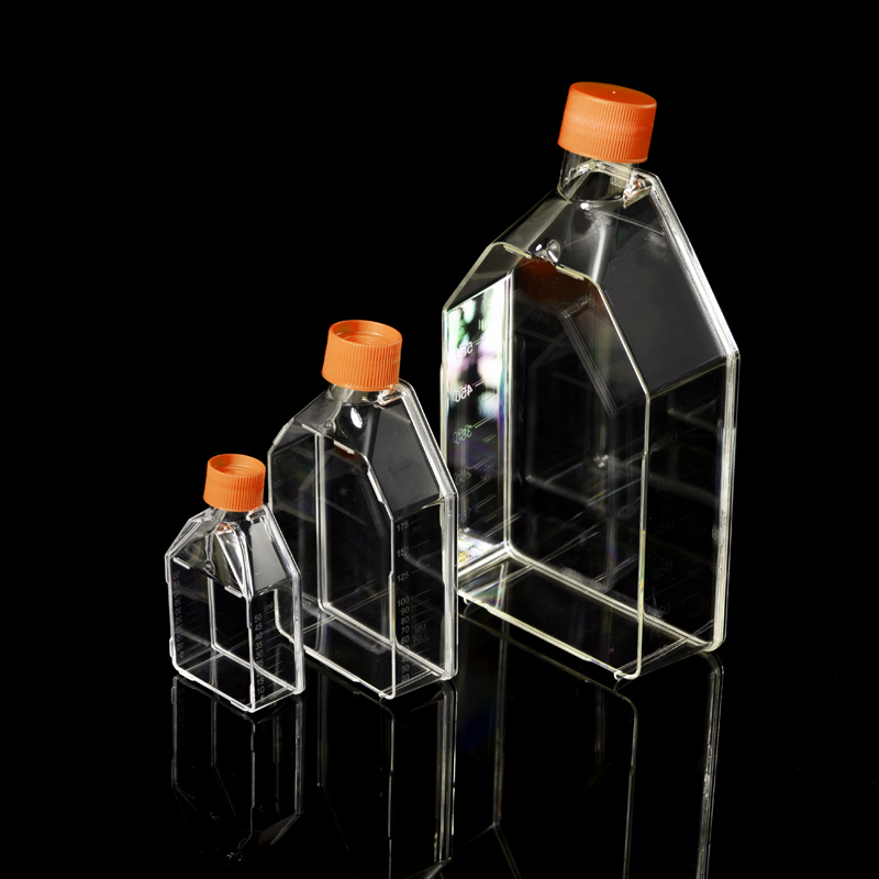Cell Culture Flasks