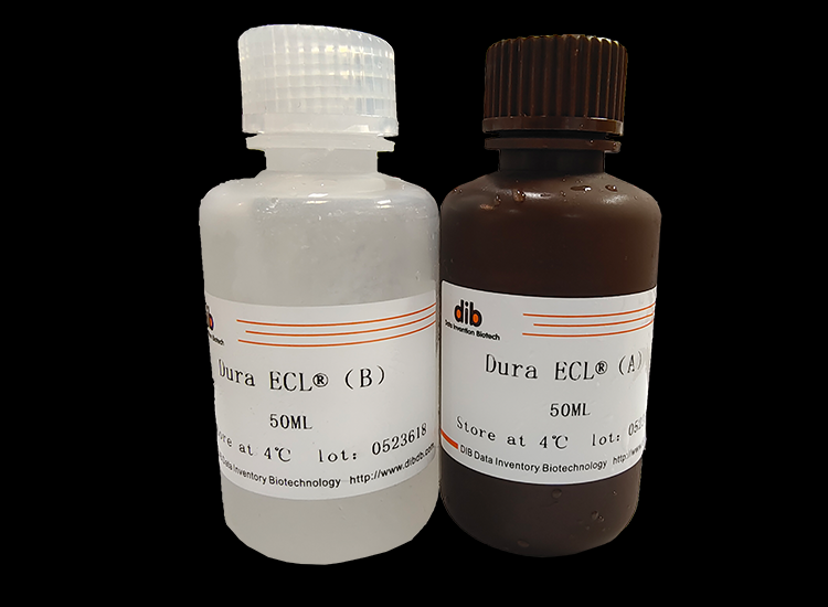 Ultra sensitive ECL Chemiluminescence Kit