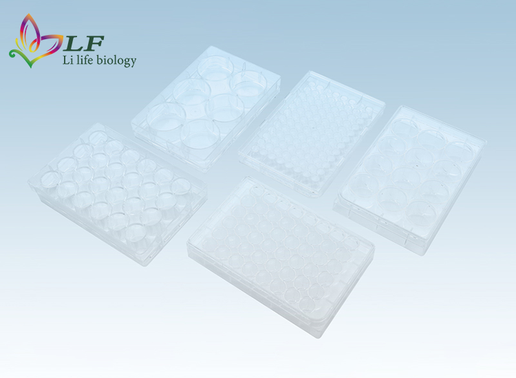 Cell Culture Plates